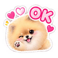 ♡ふわもこポメ♡毎日使える♡きゅんかわ♡