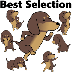 Wagging Tail 209