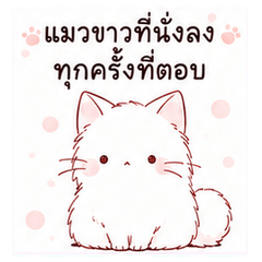White Cat Sits Down to Reply/Thai