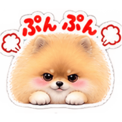 ♡ふわもこポメ♡毎日使える♡きゅんかわ4