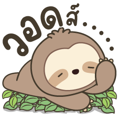 เรน สลอธ 6