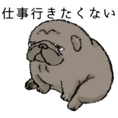 Floppy-faced Flat-Nosed Dogs