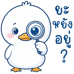 Roundy Ducky (Kum-muang)