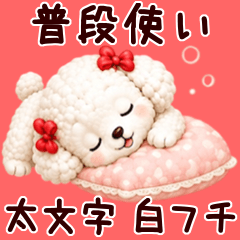 Everyday use for Toy Poodles