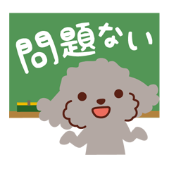 Various Toy Poodles_Have fun anytime