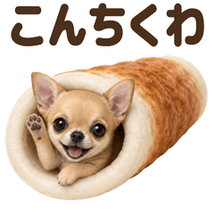ダジャレ！ チワワ