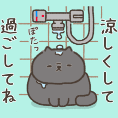 ☆とろけるネコの夏☆黒猫 スモーク