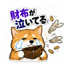 HIRO_20260815153857