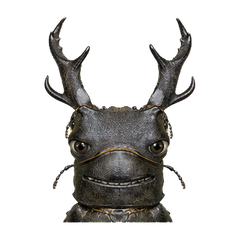Reiwa Office Stag Beetle 1