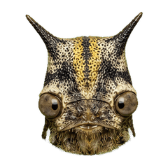 Reiwa Office Treehopper 1