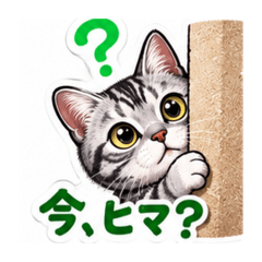 HIRO_20260815185040