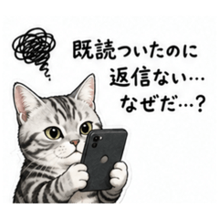 HIRO_20260815190721