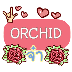 ORCHID what's up e
