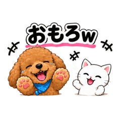 Sassy Poodle & Cat: Daily Reactions