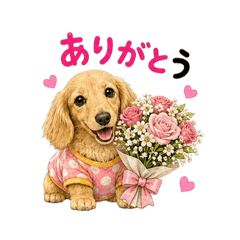 HIDEKO.K_20260816065538