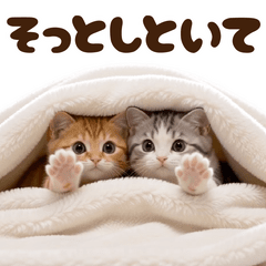 Move Cute Cats2