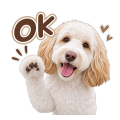 Australian Labradoodle Daily Stickers