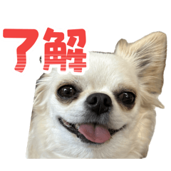 Milkgoto