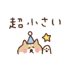 超小さい柴犬