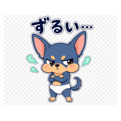 Blue Chihuahua
