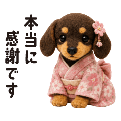 Dachshund F(Honorifics)(Chocotan)