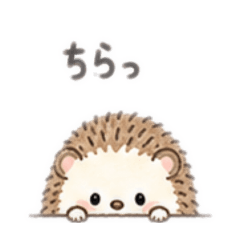Cute & Squishy Mochi Hedgehog Part 2
