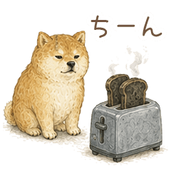 Negative laid-back Shiba Inu