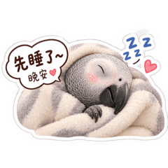 Jessie_20260816104655