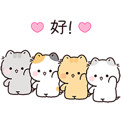 甜蜜喵屋：情緒價值滿分