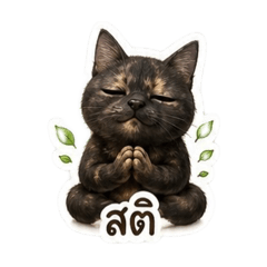 ratchanee phonduang_20260803140052