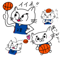 basketball cat in japan