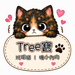 膽小玳瑁 Tree寶的日常
