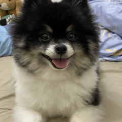 歐戀的貼圖