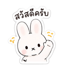 BBKP_20260805004612