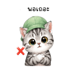 Hallo wawa_20260806165326