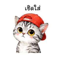 Hallo wawa_20260806171752