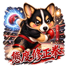 柯基黑寶現代功夫秘笈