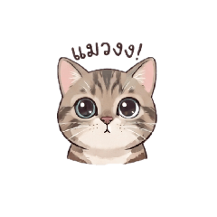 nico_20260807195006
