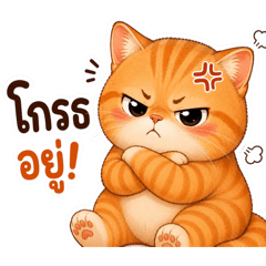 Toon_20260808015550
