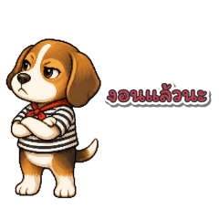 Beagle coming