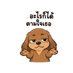 Dogkiiiii