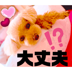 Mochioba_20260817193325