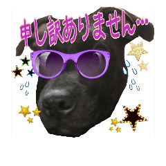 ***dog-chan***