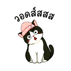 ชีวิตนี้แมวเหนื่อย
