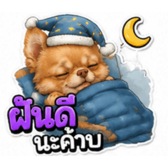 neayza_20260810114137