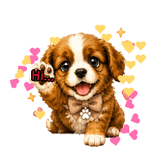 Little Cavalier Ruby