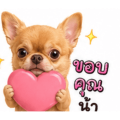 neayza_20260810200358