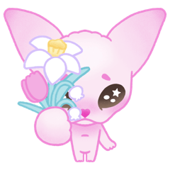 NIMBUS SPHYNX CAT 01