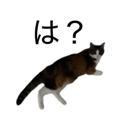 HI T O_20260817090426