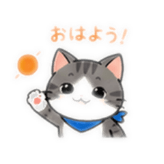 masaya_20260817101208